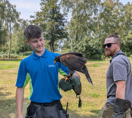 Hawk Walk - Falconry Experiences