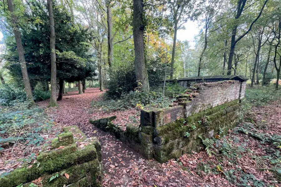 The ruined woodland gateway of the Lady Garden