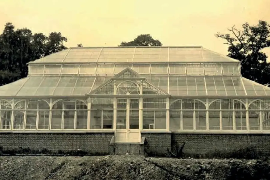 The Palm House in the kitchen garden, around 1912