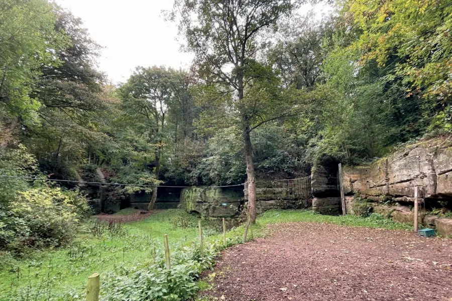 The sandstone quarry at Beaudesert today